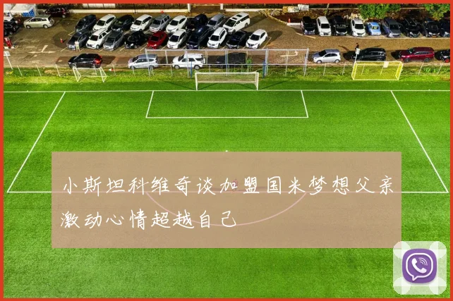 小斯坦科维奇谈加盟国米梦想父亲激动心情超越自己